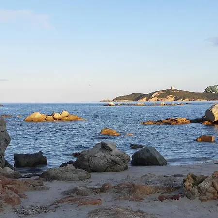 T2 En Corse Dans Avec Piscines Proche De Porto Vecchio ليسي