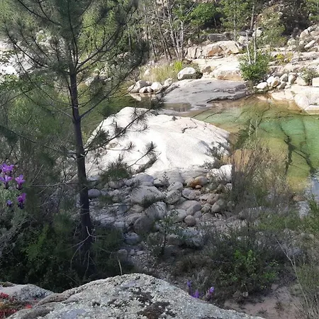 T2 En Corse Dans Avec Piscines Proche De Porto Vecchio شقة ليسي