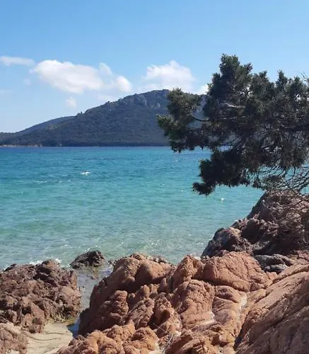 Apartment T2 En Corse Dans Avec Piscines Proche De Porto Vecchio Lecci