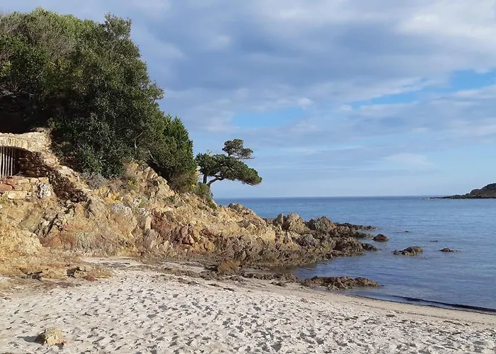 T2 En Corse Dans Avec Piscines Proche De Porto Vecchio * Lecci