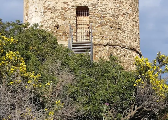 Apartment T2 En Corse Dans Avec Piscines Proche De Porto Vecchio *