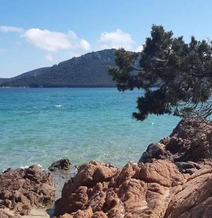 Apartment T2 En Corse Dans Avec Piscines Proche De Porto Vecchio Lecci