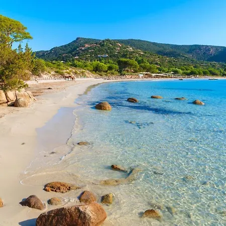 Apartment T2 En Corse Dans Avec Piscines Proche De Porto Vecchio Lecci