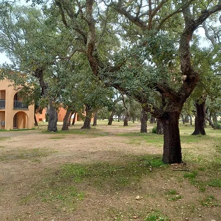 T2 En Corse Dans Résidence Avec Piscines Proche De Porto Vecchio Apartamento *