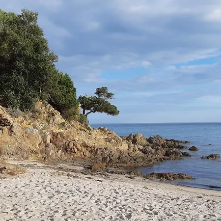 T2 En Corse Dans Résidence Avec Piscines Proche De Porto Vecchio * Lecci
