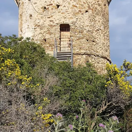 Διαμέρισμα T2 En Corse Dans Avec Piscines Proche De Porto Vecchio *