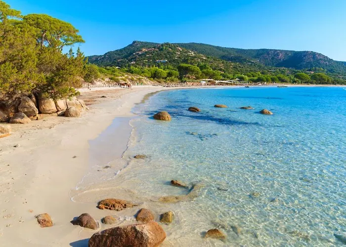 Apartmán T2 En Corse Dans Avec Piscines Proche De Porto Vecchio Lecci