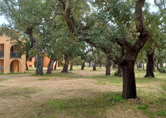 T2 En Corse Dans Avec Piscines Proche De Porto Vecchio Apartmán *