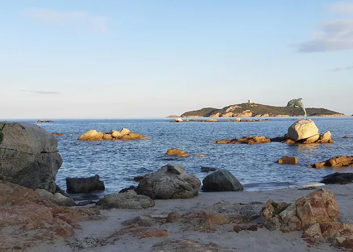 T2 En Corse Dans Avec Piscines Proche De Porto Vecchio Lecci