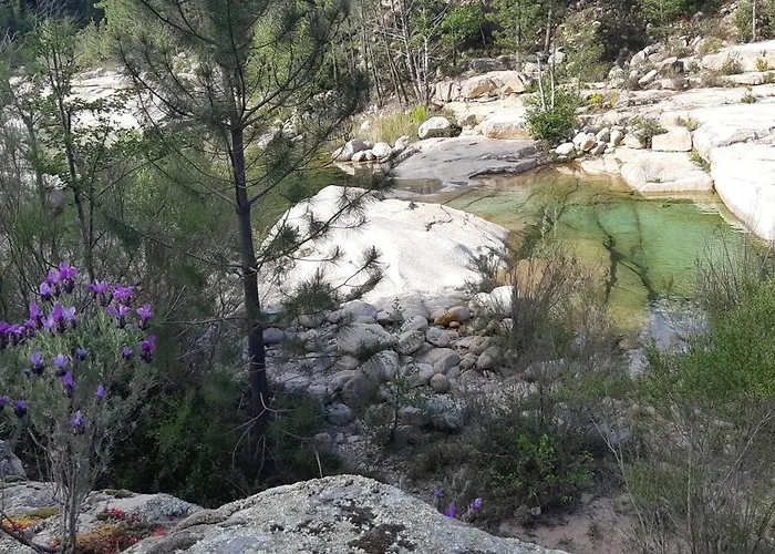 T2 En Corse Dans Avec Piscines Proche De Porto Vecchio Apartmán Lecci